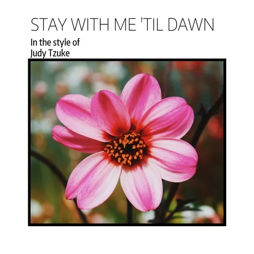 Karaoke Stay With Me 'Til Dawn esittäjältä Judy Tzuke — laula mukana sanoituksilla Singassa