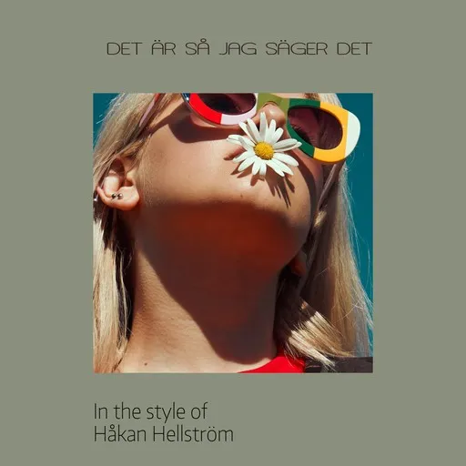 Det är så jag säger det - Karaoke