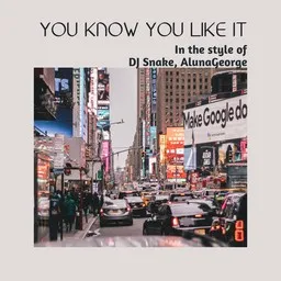 Titelbild für You Know You Like It - AlunaGeorge,DJ Snake Karaoke-Version