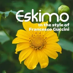Cover art for Eskimo - Francesco Guccini karaoke version