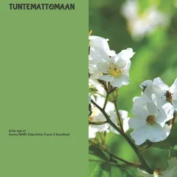 Cover art for Tuntemattomaan - Aurora (NOR),Frozen 2 Soundtrack,Katja Sirkiä karaoke version