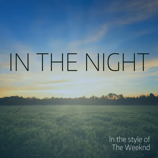 Karaoke In The Night esittäjältä The Weeknd — laula mukana sanoituksilla Singassa