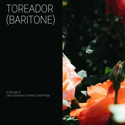 Toreador (Baritone) - Karaoke