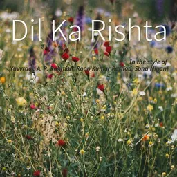 Cover art for Dil Ka Rishta - A. R. Rahman,Roop Kumar Rathod,Sonu Nigam,Yuvvraaj karaoke version