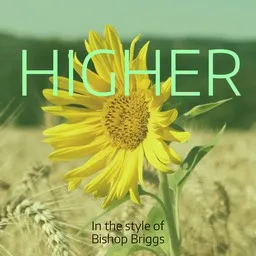 Cover art for Higher - Bishop Briggs karaoke version