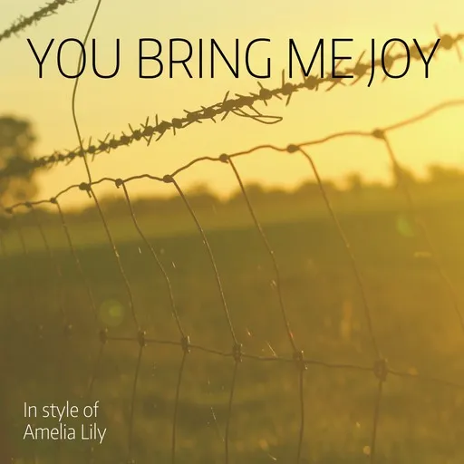You Bring Me Joy - Karaoke