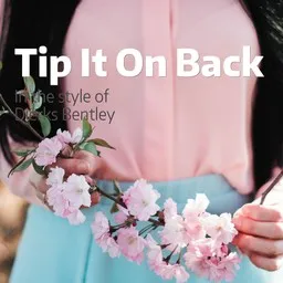 Cover art for Tip It On Back - Dierks Bentley karaoke version