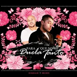 Titelbild für Para Que No Me Duela Tanto - Dj Khalid,Mr.Don Karaoke-Version