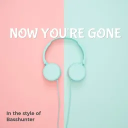 Omslagsbild för Now You're Gone - Basshunter karaokeversion
