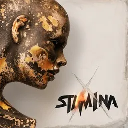 Cover art for X - Stam1na karaoke version