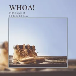 Cover art for Whoa! - Lil' Kim karaoke version