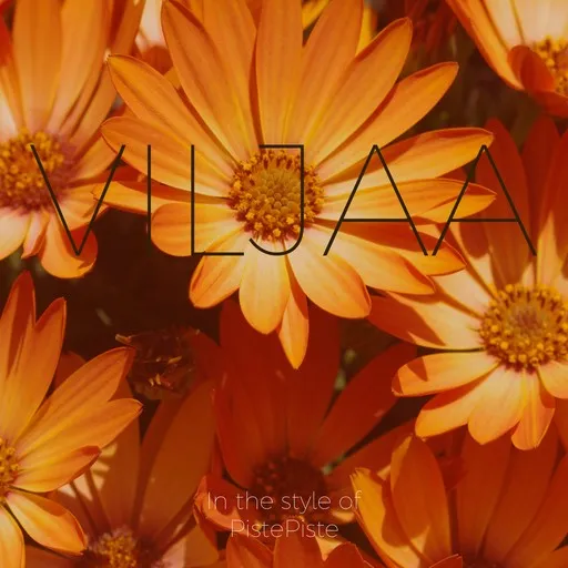Viljaa - Karaoke
