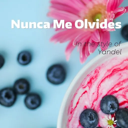 Nunca Me Olvides - Karaoke