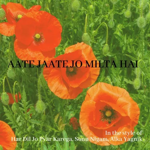 Aate Jaate Jo Milta Hai - Karaoke