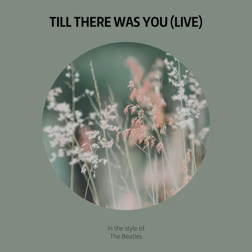Karaoke Till There Was You (Live) by The Beatles — sing along with lyrics on Singa