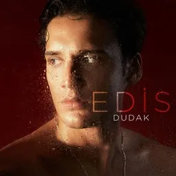 Titelbild für Dudak - Edis Karaoke-Version
