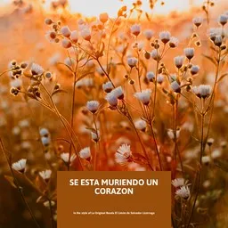 Cover art for Se Esta Muriendo Un Corazon - La Original Banda El Limón de Salvador Lizárraga karaoke version