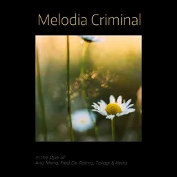 Cover art for Melodia Criminal - Ana Mena,Fred De Palma,Takagi & Ketra karaoke version