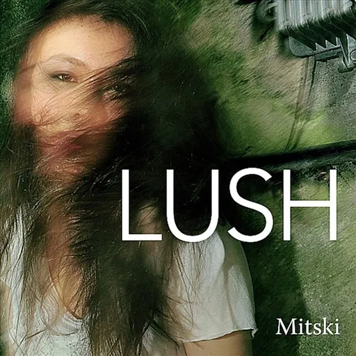 Karaoke Liquid Smooth by Mitski — sing along with lyrics on Singa