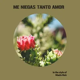 Cover art for Me Niegas Tanto Amor - Maelo Ruiz karaoke version