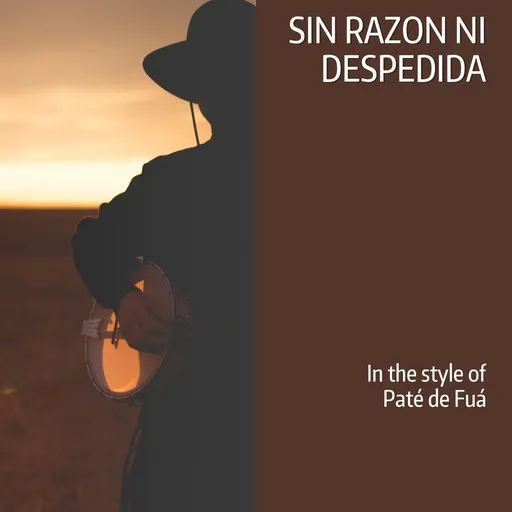 Karaoke Sin Razon Ni Despedida by Paté de Fuá — sing along with lyrics on Singa