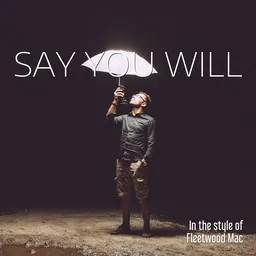 Cover art for Say You Will - Fleetwood Mac karaoke version