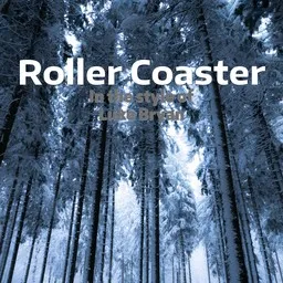 Cover art for Roller Coaster - Luke Bryan karaoke version