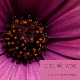 Cover art for Seitsemäs taivas - Anneli Mattila karaoke version