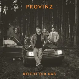 Cover art for Reicht dir das - Provinz karaoke version