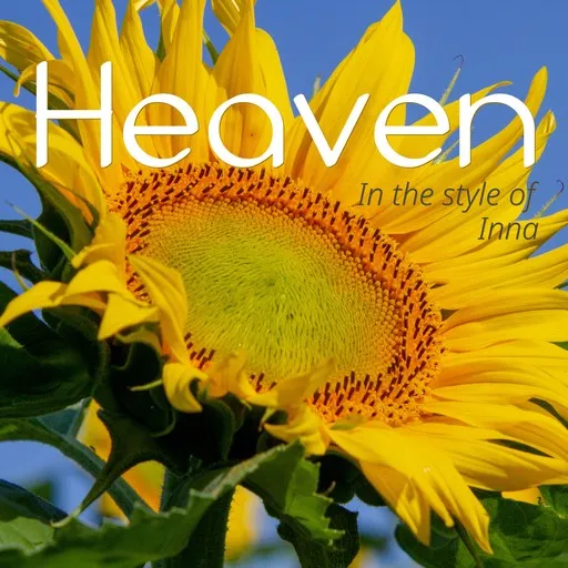 Karaoke Heaven by Inna — sing along with lyrics on Singa