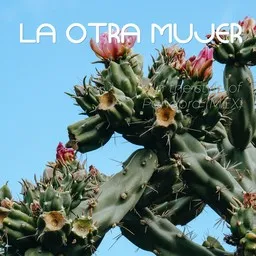 Cover art for La Otra Mujer - Pandora (MEX) karaoke version