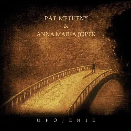 Karaoke Tam, Gdzie Nie Siega Wzrok (Follow Me) von Anna Maria Jopek, Pat Metheny — mit Songtext mitsingen auf Singa