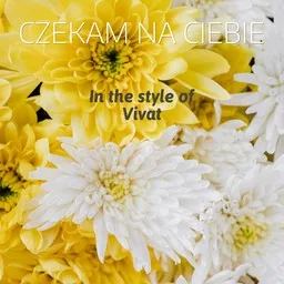 Omslagsbild för Czekam na Ciebie - Vivat karaokeversion