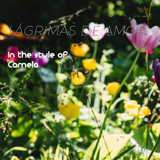 Karaoke Lágrimas de Amor by Camela — sing along with lyrics on Singa