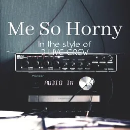 Cover art for Me So Horny - 2 LIVE CREW karaoke version