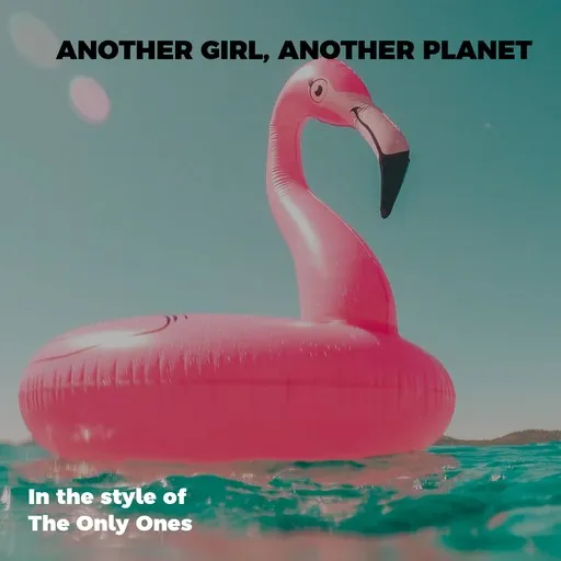 Another Girl, Another Planet - Karaoke