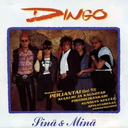 Cover art for Sata rohkeaa laivaa - Dingo karaoke version