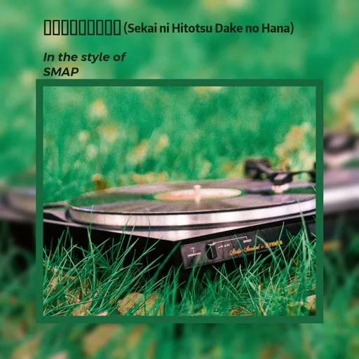 Karaoke 世界に一つだけの花 by SMAP — sing along with lyrics on Singa