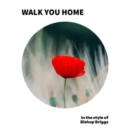 Cover art for Walk You Home - Bishop Briggs karaoke version