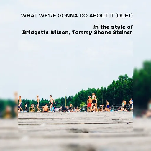 Karaoke What We're Gonna Do About It (Duet) esittäjältä Bridgette Wilson, Tommy Shane Steiner — laula mukana sanoituksilla Singassa