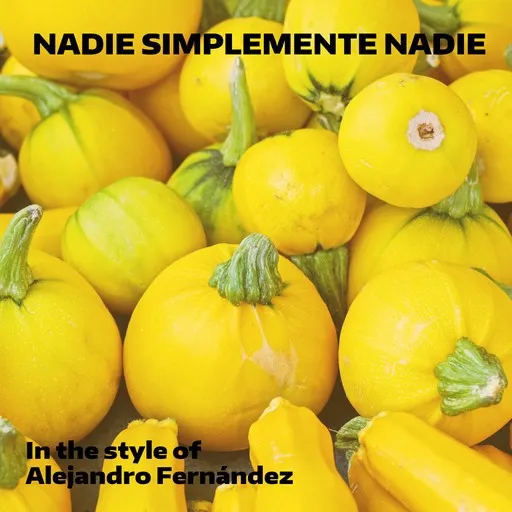 Nadie Simplemente Nadie - Karaoke