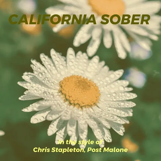 Karaoke California Sober von Chris Stapleton, Post Malone — mit Songtext mitsingen auf Singa