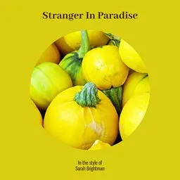 Cover art for Stranger In Paradise - Sarah Brightman karaoke version
