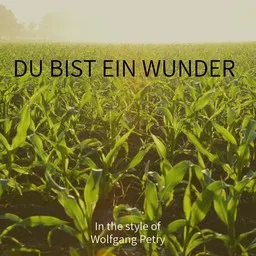 Cover art for Du Bist Ein Wunder - Wolfgang Petry karaoke version