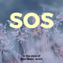 Cover art for SOS - Aloe Blacc,Avicii karaoke version