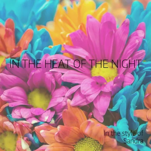 Karaoke In the Heat of the Night von Sandra — mit Songtext mitsingen auf Singa