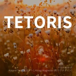 Titelbild für Tetoris - Hiiragi Magnetite (柊マグネタイト),Kasane Teto (重音テト) Karaoke-Version