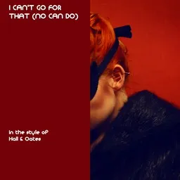 Titelbild für I Can't Go For That (No Can Do) - Hall & Oates Karaoke-Version