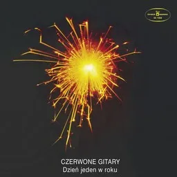 Czerwone Gitary - Karaoke