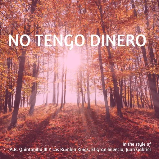 Karaoke No Tengo Dinero by A.B. Quintanilla III Y Los Kumbia Kings, El Gran Silencio, Juan Gabriel — sing along with lyrics on Singa